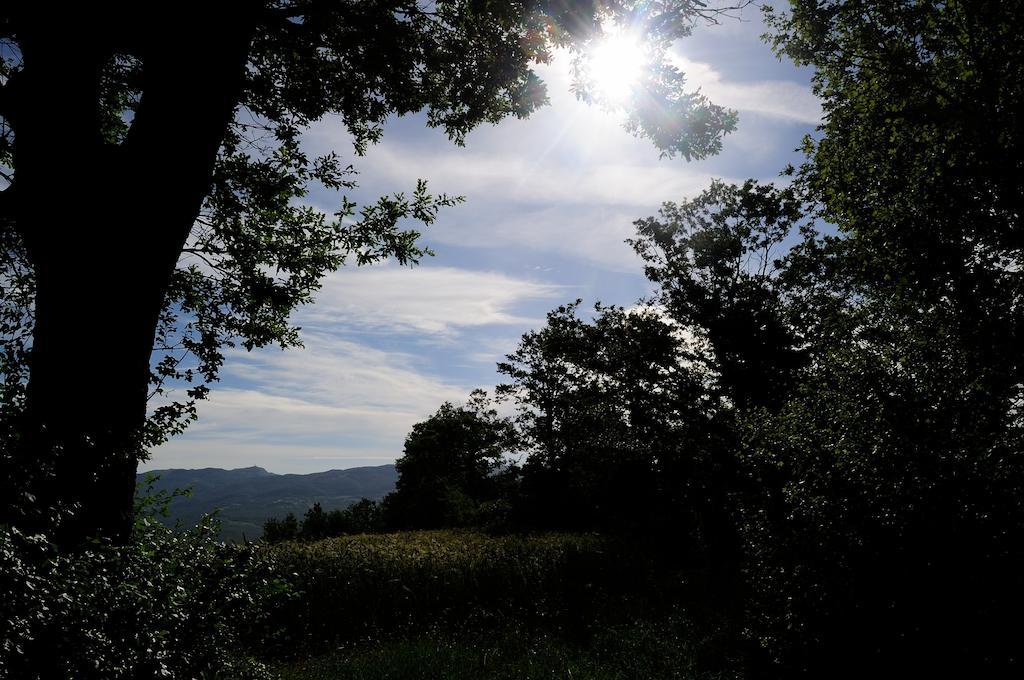 Agriturismo I Monti Semproniano Eksteriør billede