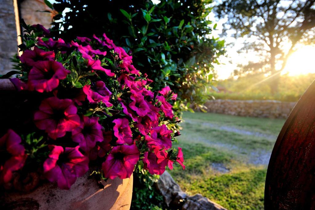 Agriturismo I Monti Semproniano Værelse billede